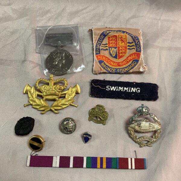 Assorted vintage badges and a Northern Ireland medal in a lot.