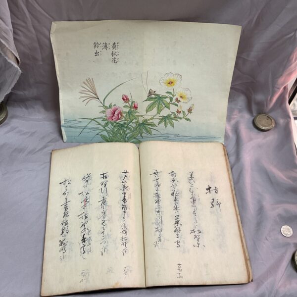 Antique Japanese scripture book with accompanying watercolour mayfly painting.