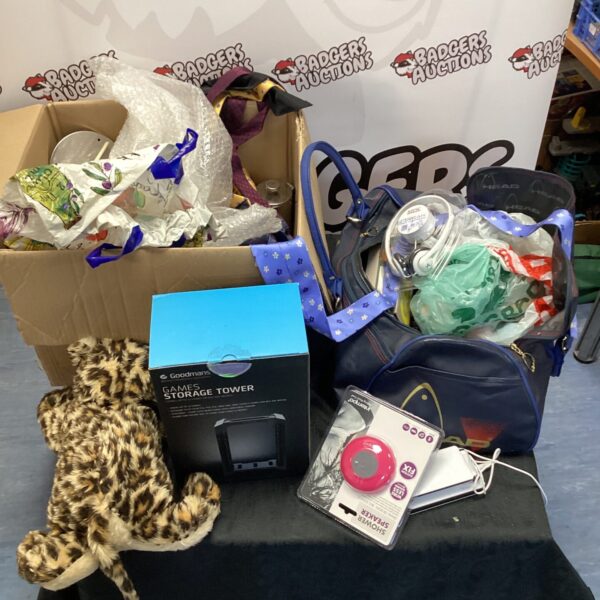 Mixed lot of household items including a sports bag and storage tower.