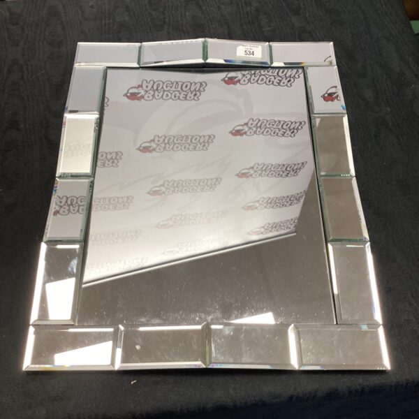 Front view of a rectangular mirror with a mirrored frame.