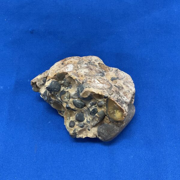 Hertfordshire Ice Age pudding stone with rounded pebble inclusions.