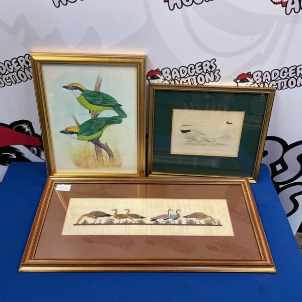 Framed set of vintage bird art prints, including Egyptian papyrus ducks.