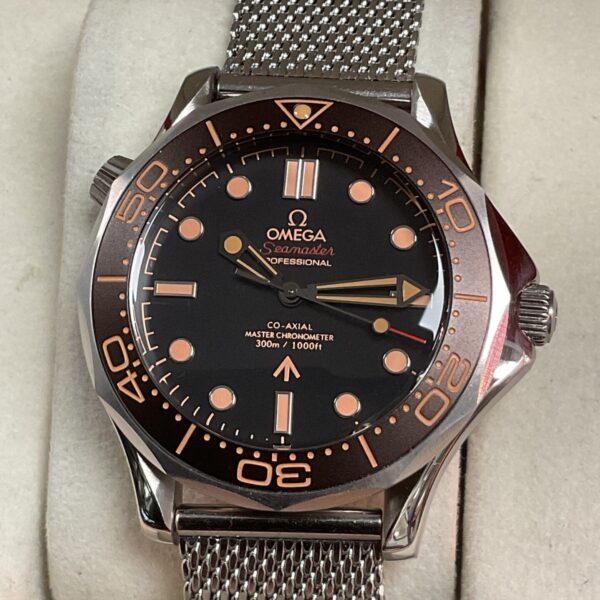 Front view of the Omega Seamaster Professional automatic wristwatch.
