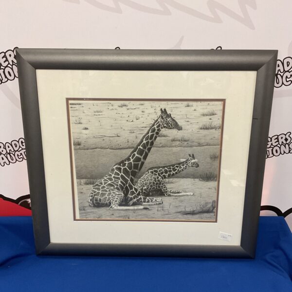Framed Clive Meredith limited edition giraffe print, wildlife art.