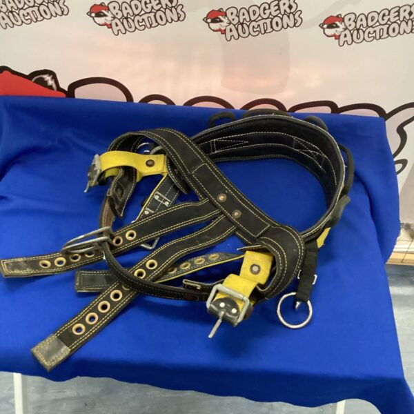Front view of a used tree climber harness with metal buckles.