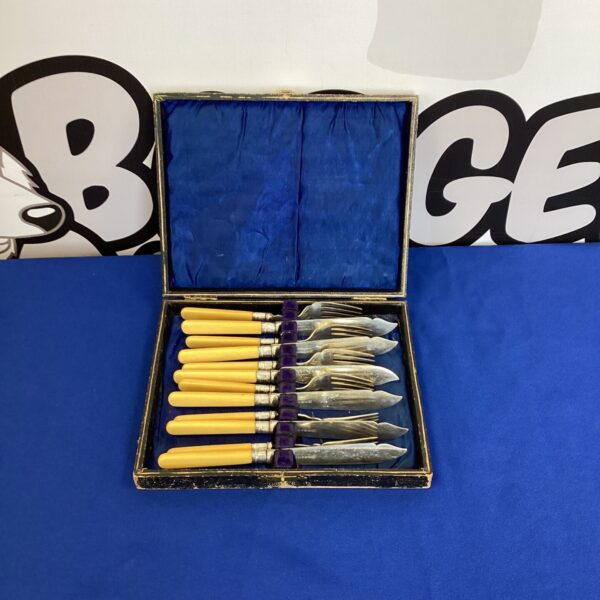 Vintage fish cutlery set in presentation case with bone handles.