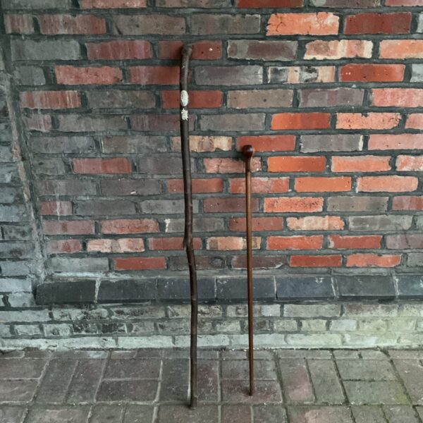 Vintage walking sticks with travel plaques, antique canes.