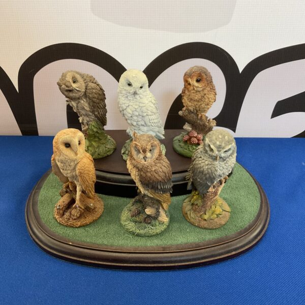 Royal Doulton owl figurines displayed on a green stand, collectible porcelain.