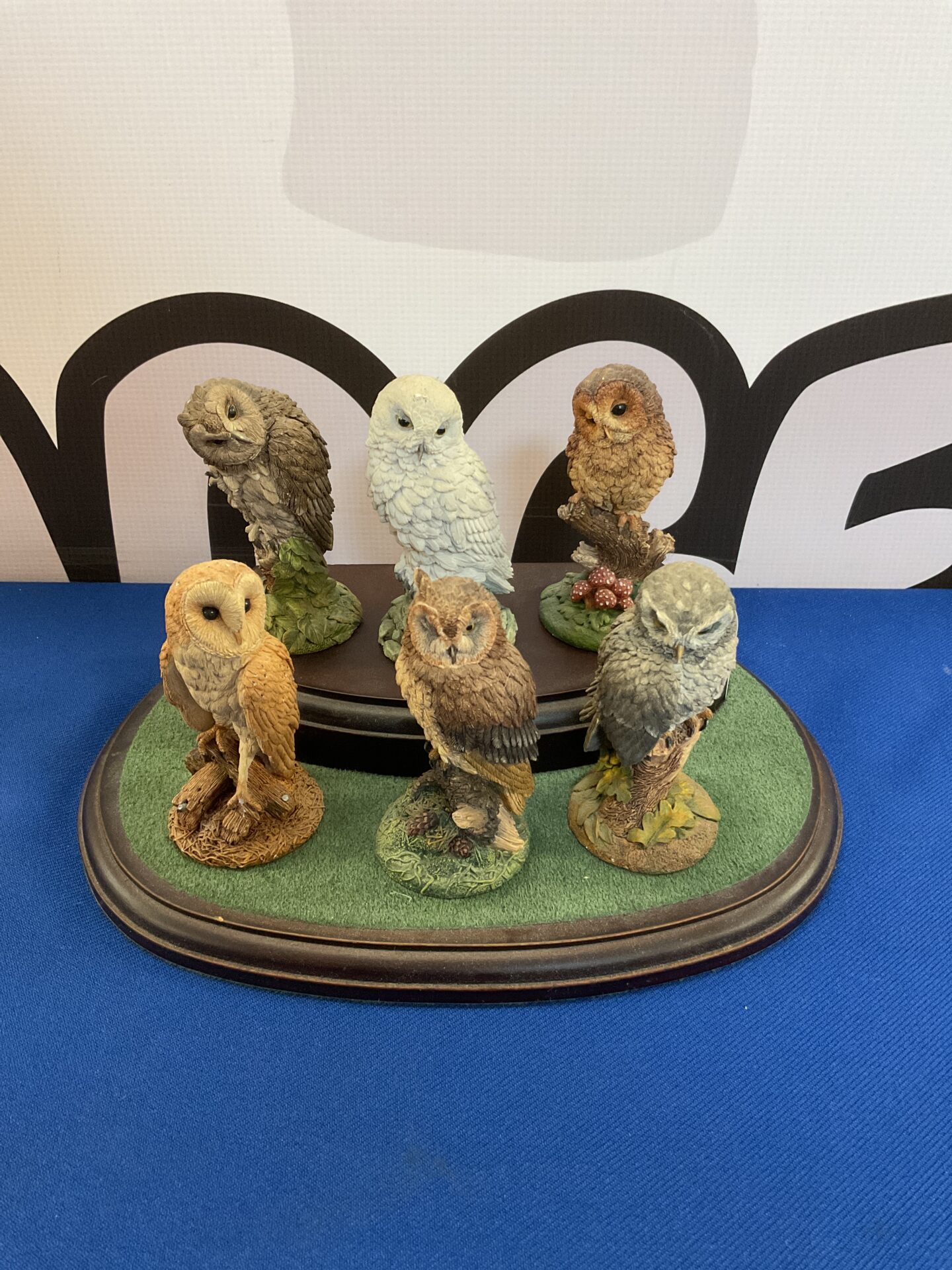 195 Set of six royal doulton owls on display stand