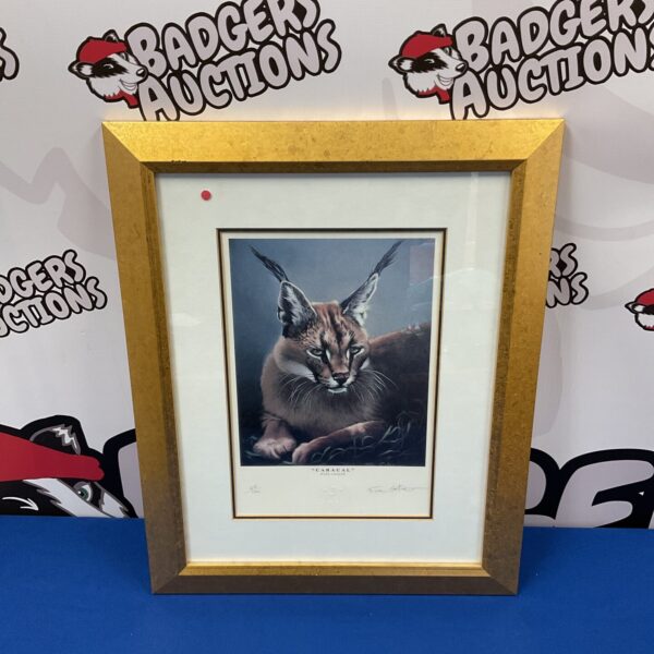 Limited edition Fuz Catorio caracal print in gilt frame.