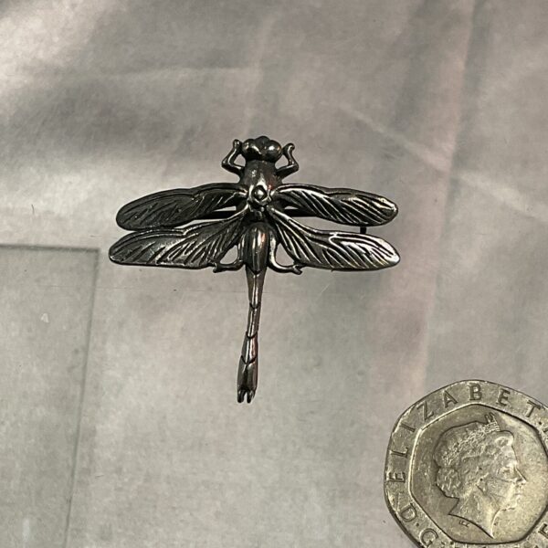 Close-up of a vintage silver dragonfly brooch with intricate wing details.