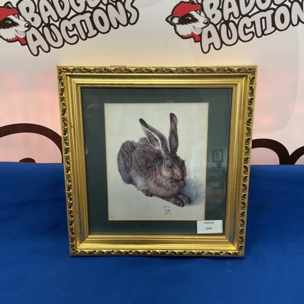 Vintage Albrecht Durer hare print, classic animal artwork.
