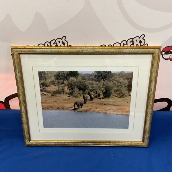 Framed photograph of a herd of elephants in a natural setting.