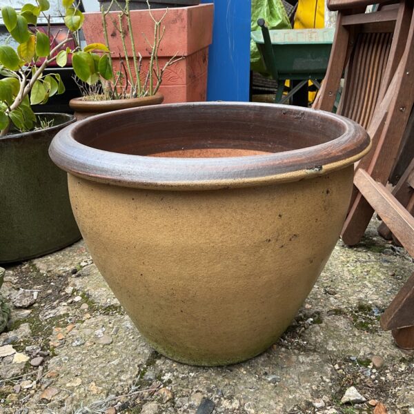Large glazed terracotta plant pot for garden plants.
