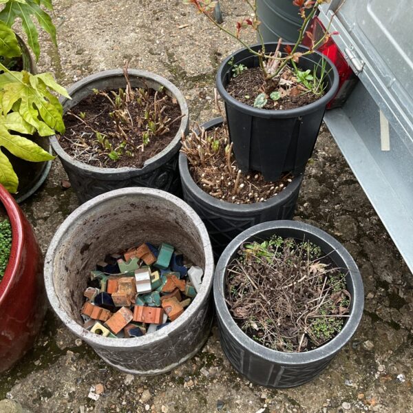 Lot of five large plastic plant pots for gardening.