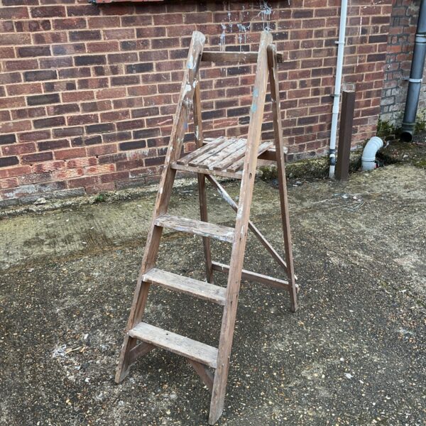 Vintage wooden step ladder with three steps, ideal for garden or DIY use.