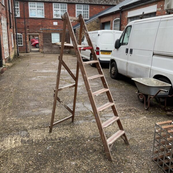 Vintage wooden stepladder in a garden setting.