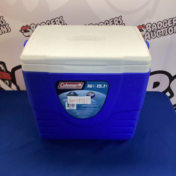 Vintage blue and white Coleman 16 Quart cool box.