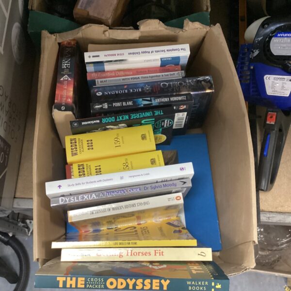 Mixed book lot featuring vintage paperback books.
