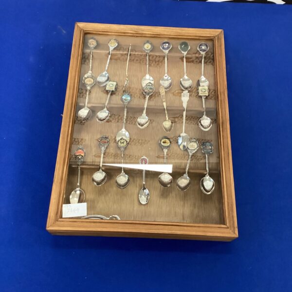 Vintage collectable teaspoons displayed in a protective case.