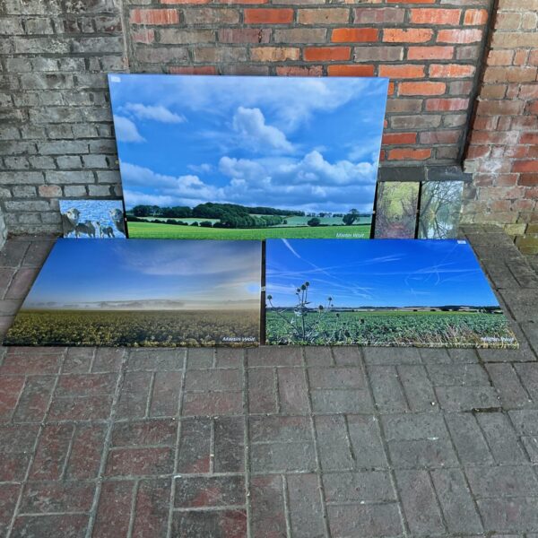 Serene landscape canvas print by Martin Wolf for home decor.