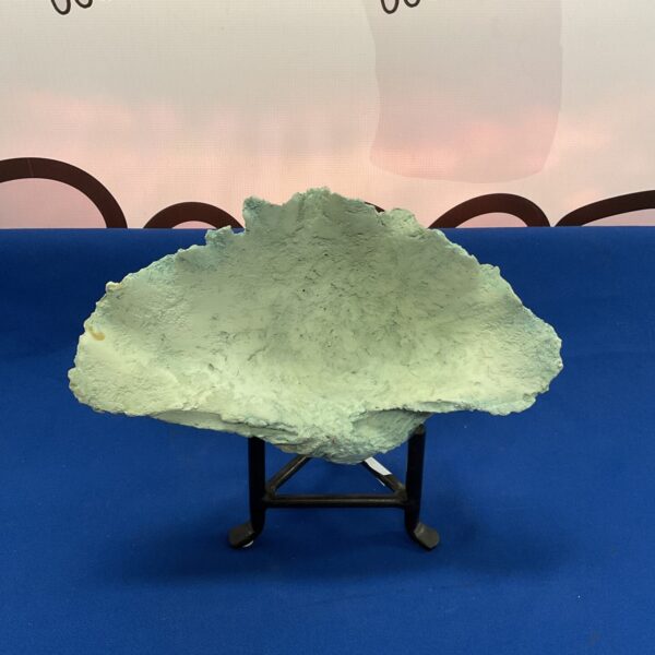 Front view of a pale green resin clamshell dish on a stand.