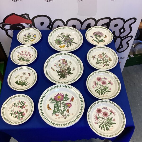 Vintage Portmeirion Botanic Garden plates with floral designs on display.