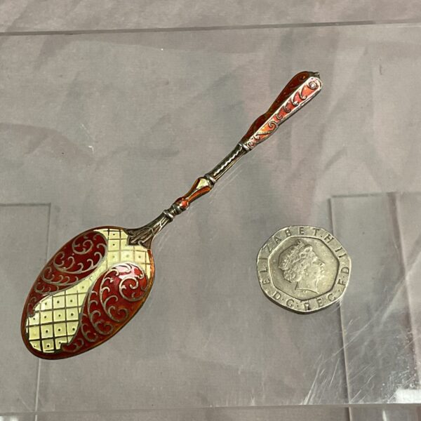 Close-up of silver enamelled teaspoon with floral design.