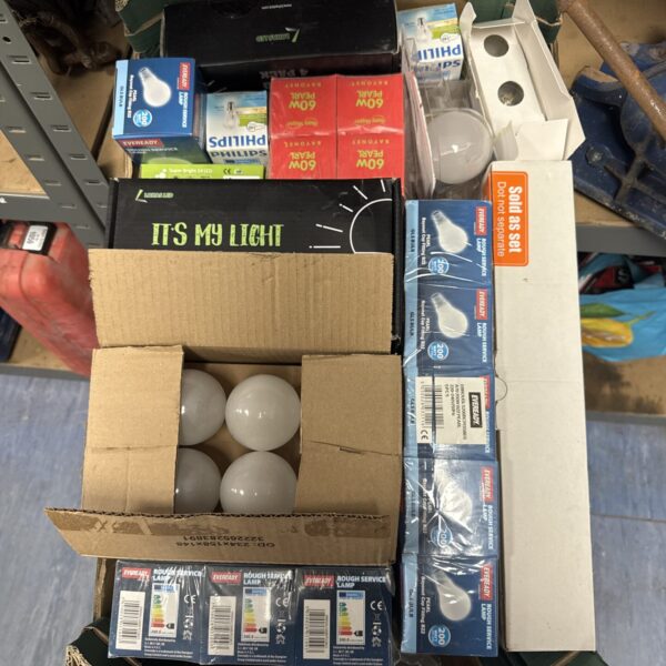 Mixed lot of light bulbs from Philips and Everlight brands.