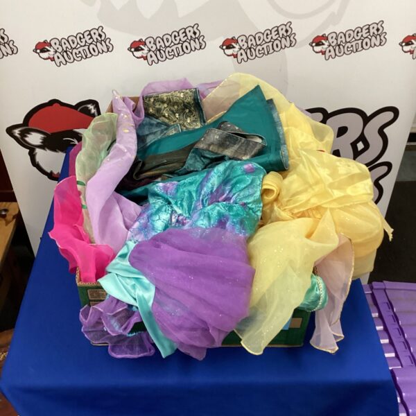 A colourful lot of Disney Princess dress-up costumes for kids.