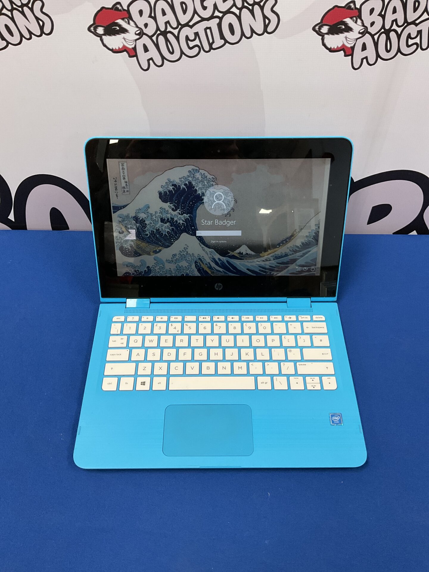 254 Hp laptop model rmn:tpn-c128 laptop power on but password locked