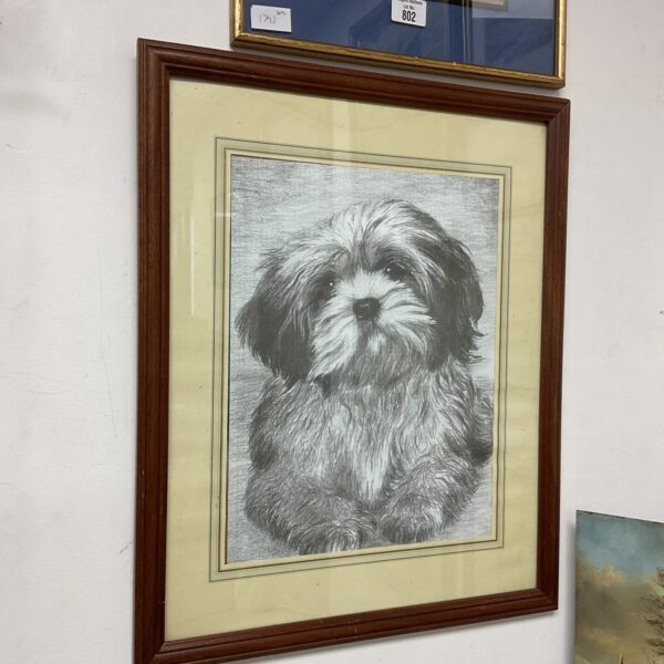 Vintage framed print of a fluffy Shiz Tzu dog, charming animal portrait.