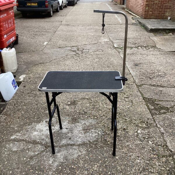 Portable dog grooming table with adjustable arm and non-slip surface.
