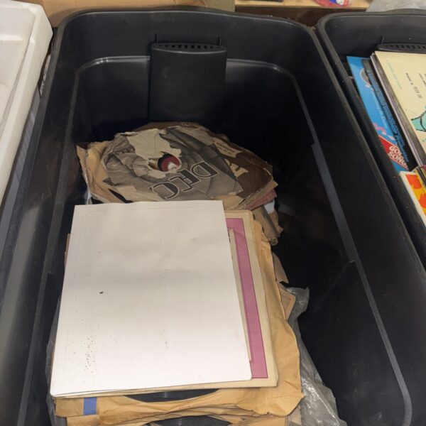 Large lot of vinyl records in a storage container.