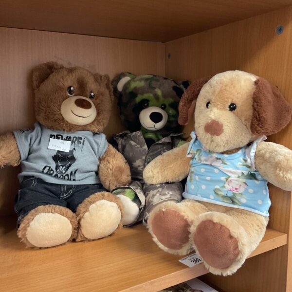 Build a Bear teddy bear with dragon shirt.