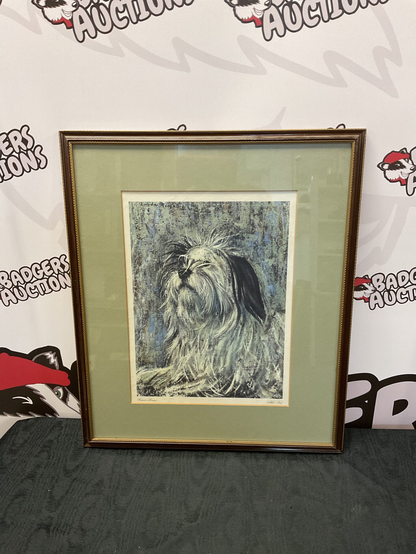 704 Havier bueno framed print of a shih-tzu dog