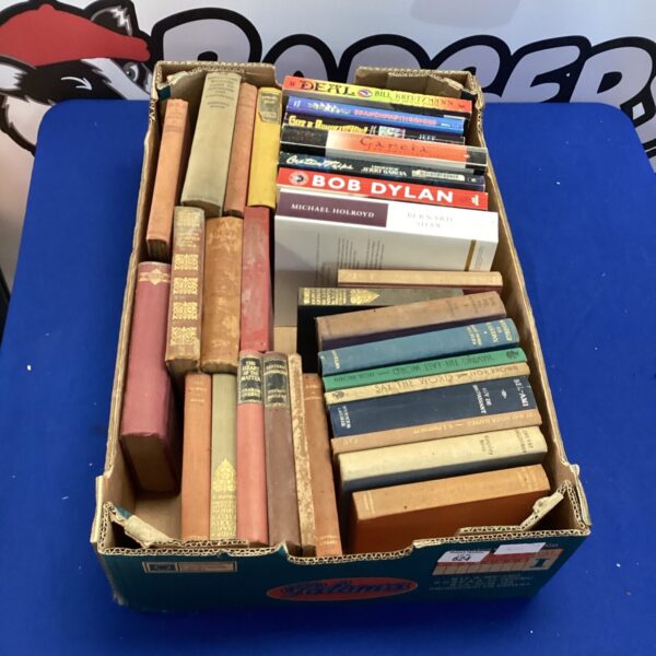 Overview of a vintage book lot with diverse titles.