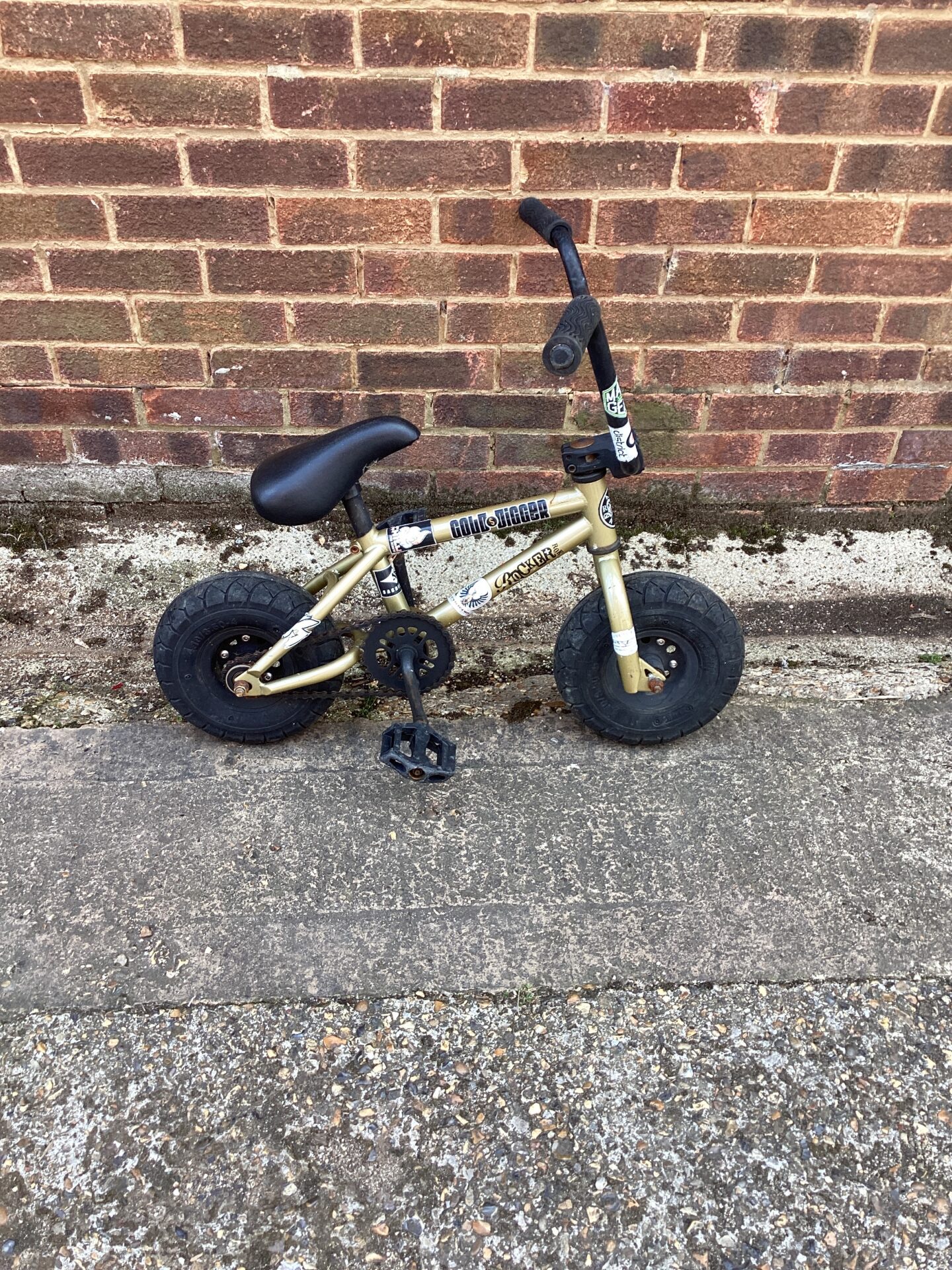 1051 Gold Digger childs bike