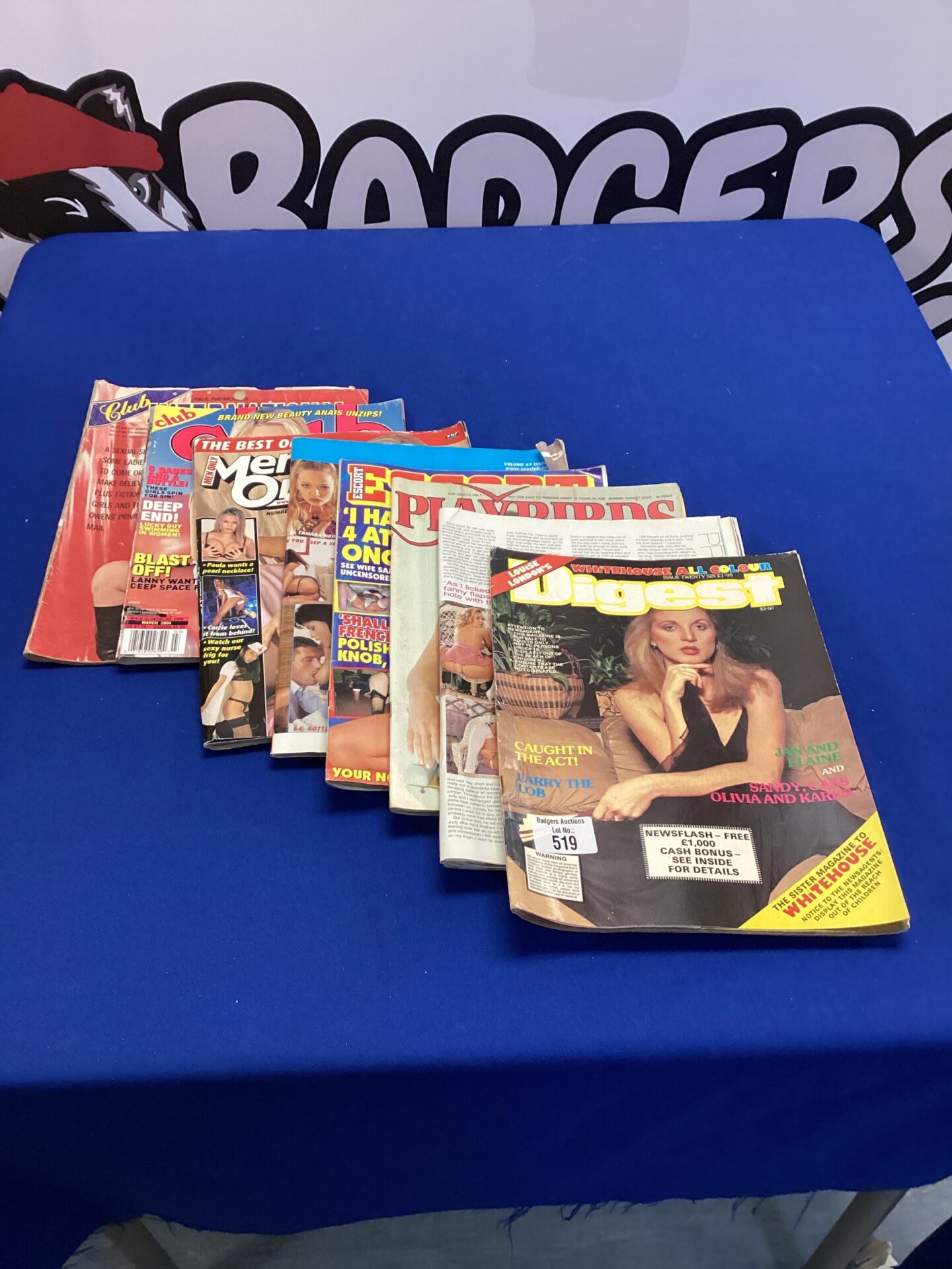 519 Eight adult magazines