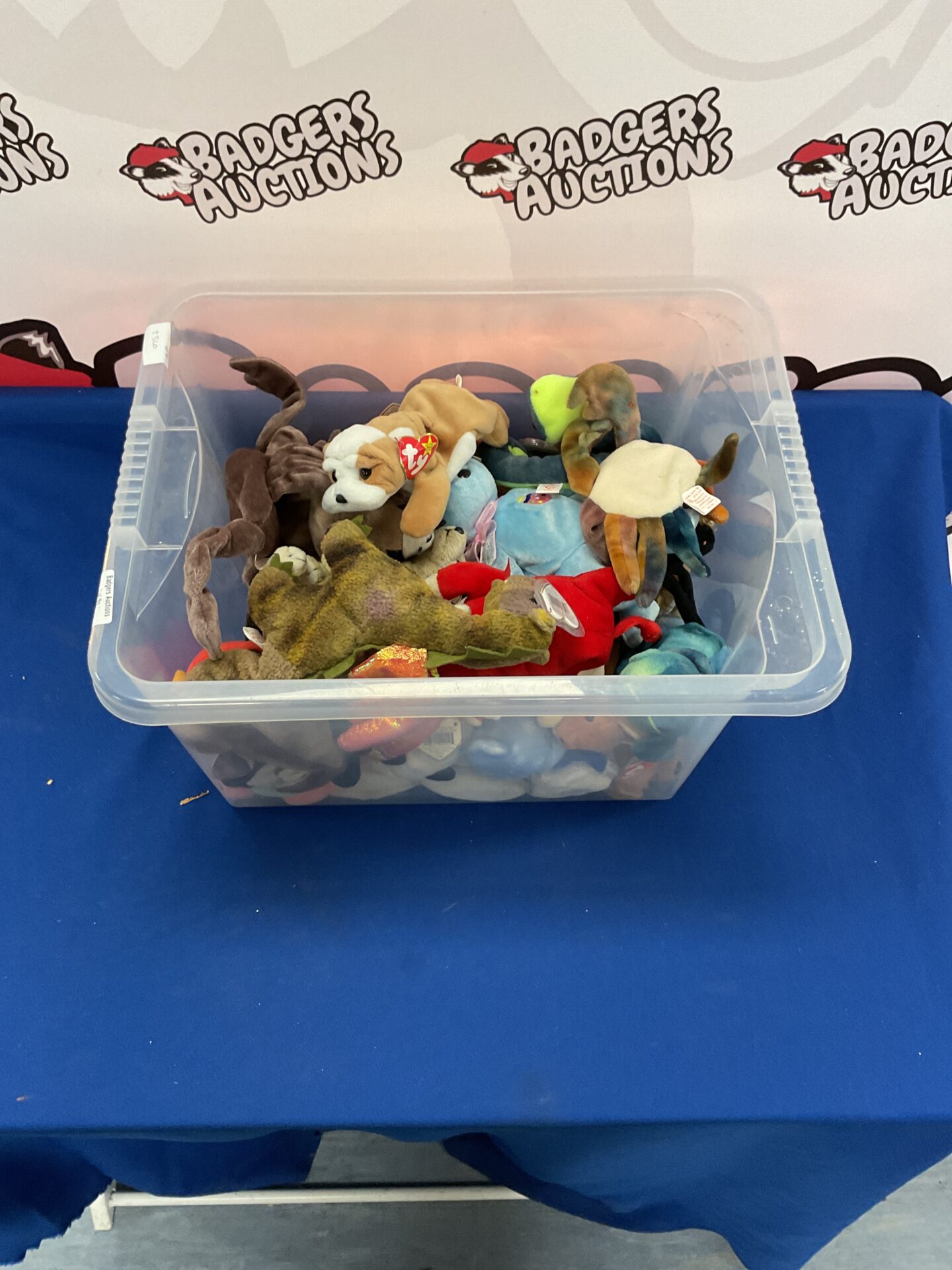 371 Box of mixed ty beanie with tags