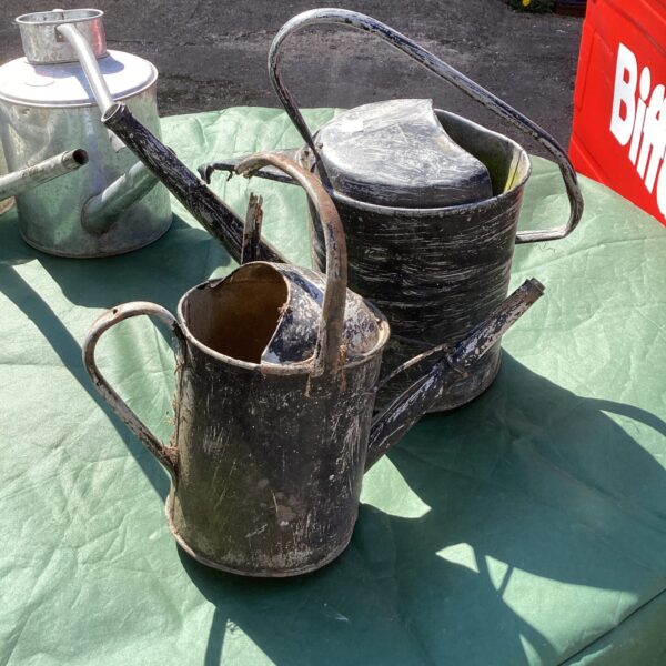 Pair of vintage galvanised watering cans in a garden setting.