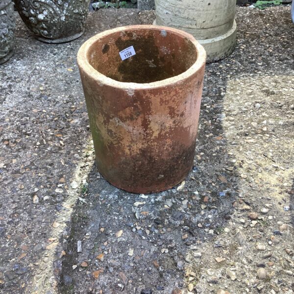 Vintage terracotta rhubarb pot in a garden setting.