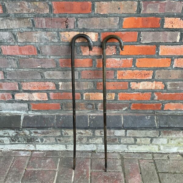 Two vintage carved horn dog head walking sticks