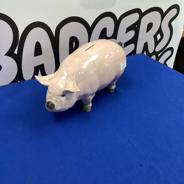 Glazed ceramic pottery piggy bank for savings and display.