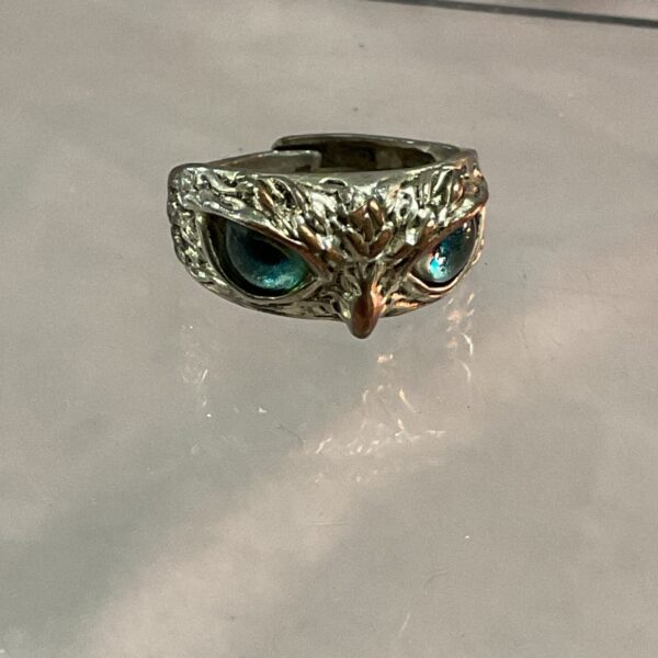 Close-up of a detailed silver owl ring with captivating eyes.