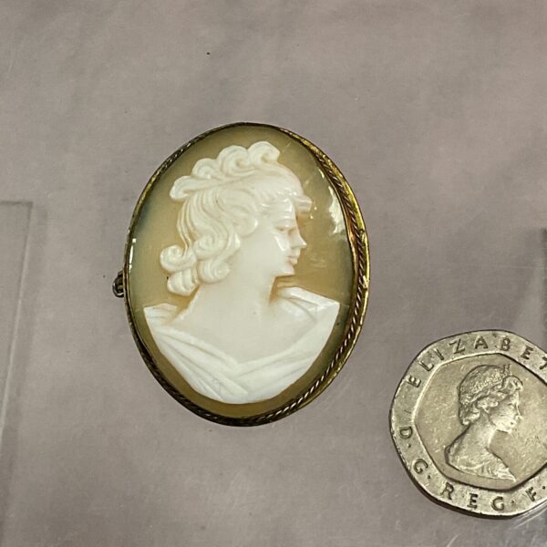 Antique cameo brooch with a detailed portrait carving.