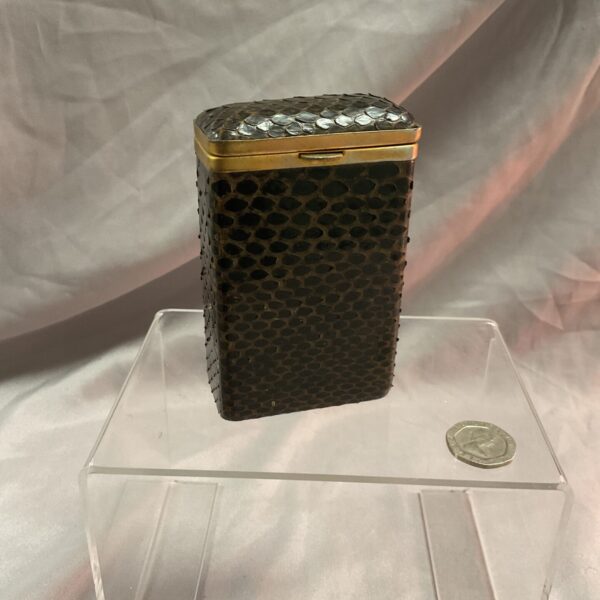 Close-up of vintage snakeskin cigarette case with textured scales.