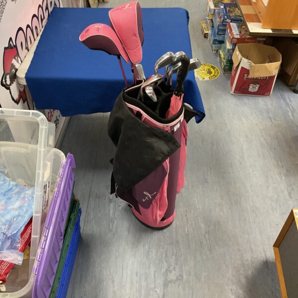 Ladies Wilson golf clubs in a pink golf bag.