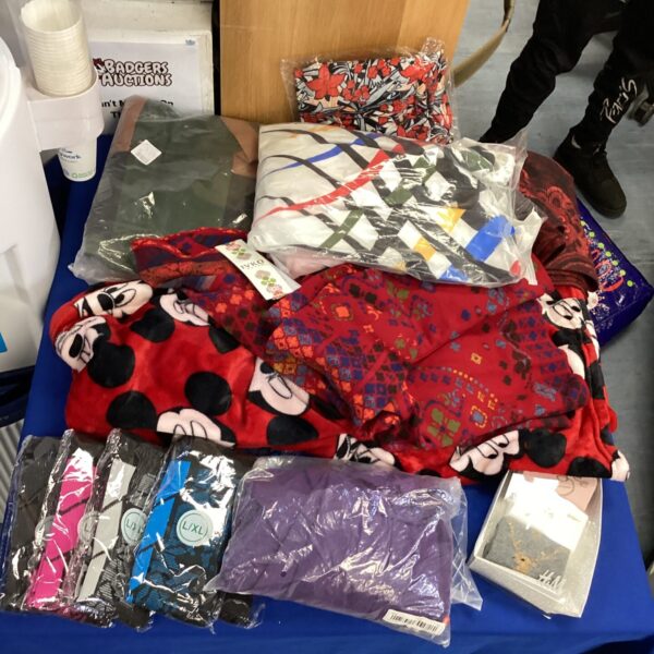 Clothing bundle featuring a Minnie Mouse oodie and new cardigan.