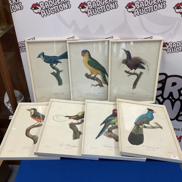 Antique set of Barraband Birds of Paradise prints, detailed ornithological illustrations.